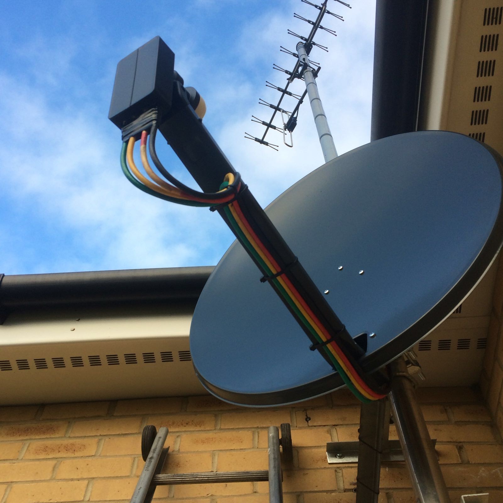 sky dish 1